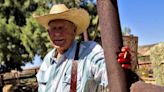 10 years after armed standoff with federal agents, Bundy cattle are still grazing disputed rangeland