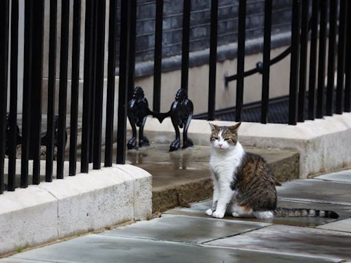All change at Downing Street, except Larry the Cat