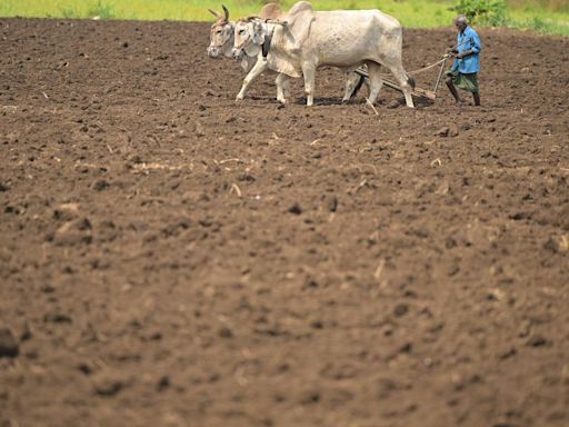 Economic Survey 2023-24: Crop insurance to see growth from 2024 onwards, government tech push to boost sector