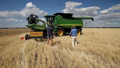 涉操控小麥期貨價格 中糧澳洲公司遭指控 | 操縱 | 中糧集團 | 大紀元