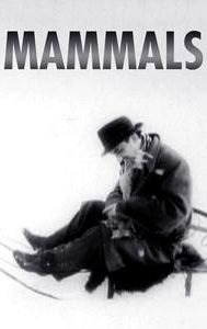 Mammals