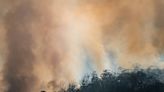 Bushfire smoke sparks surges in Western Australia hospital admissions