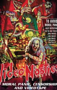 Video Nasties: The Definitive Guide