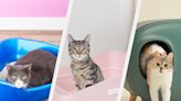 10 Small Litter Boxes That Get the Job Done