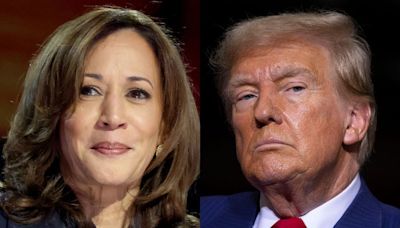 A historian who's correctly predicted 9 out of 10 elections says Kamala Harris will win in 2024