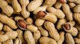 Australia launches peanut allergy immunotherapy program for babies in world first