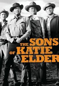 The Sons of Katie Elder