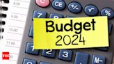 Budget 2024: Fiscal deficit target reduced to 4.9%, aims to cut to 4.5% by FY25-26, says FM Sitharaman - Times of India