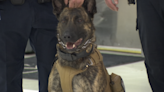 Utah now has a Life Flight service to help K-9s injured in line of duty