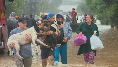 Fortes chuvas no Rio Grande do Sul deixam oito mortos e 21 desaparecidos | Brasil | O Dia