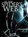 In the Spider's Web