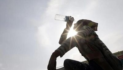 Weather update: IMD issues heatwave alert in THESE states over the next 3 days