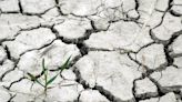 Province raises drought level in the Okanagan