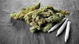 Many Americans Are Using Marijuana to Manage Health Issues | Fox 11 Tri Cities Fox 41 Yakima