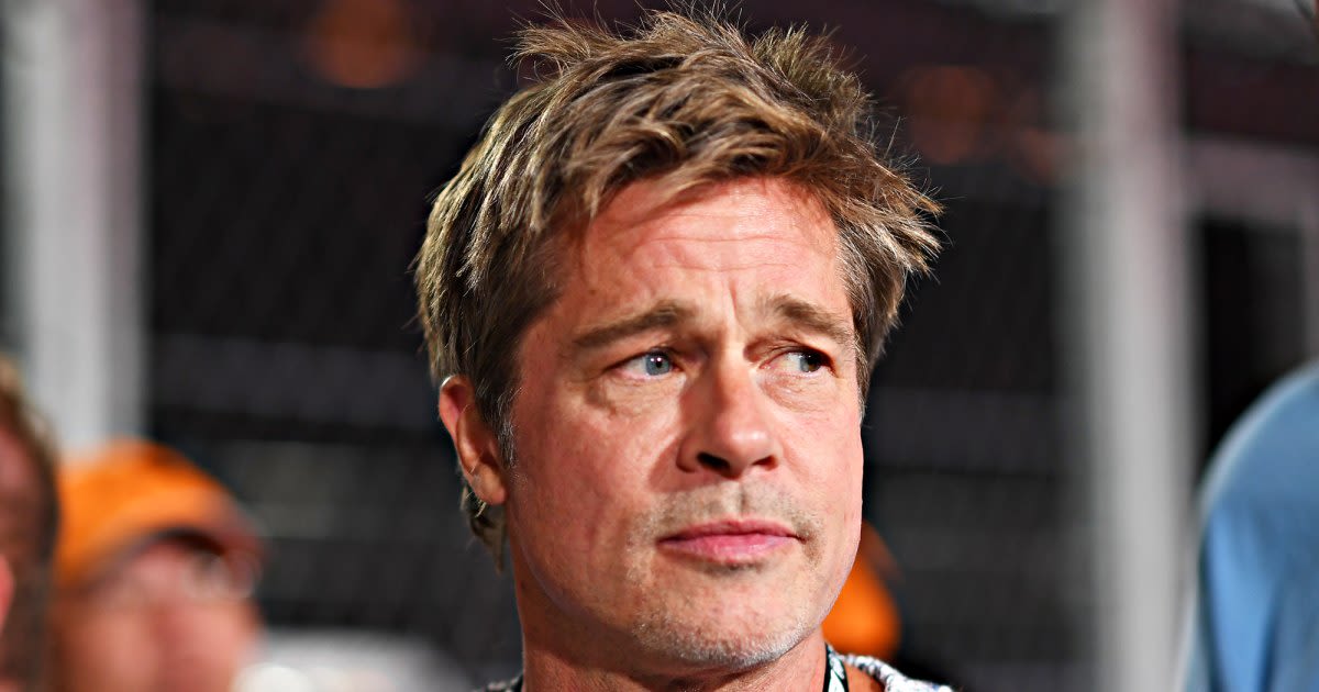Brad Pitt Accused of 'Criminal Theft' in New Winery Countersuit