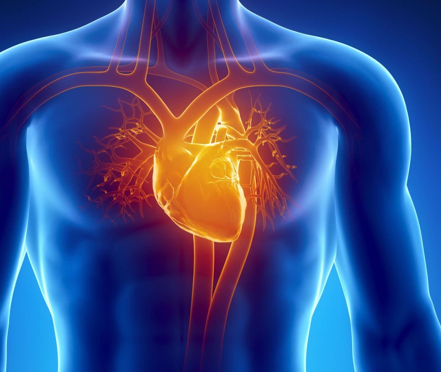 Silent Killer Unmasked: 28% of “Healthy” Seniors Have Undiagnosed Heart Valve Disease