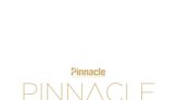 Pinnacle Business Awards: Denark Construction Builds Impact through Company Culture