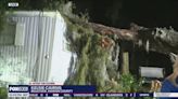 Family ‘lucky to be alive’ after tree crashes through bedroom roof in Florida storm