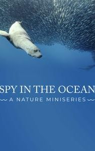 Spy in the Ocean, A Nature Miniseries