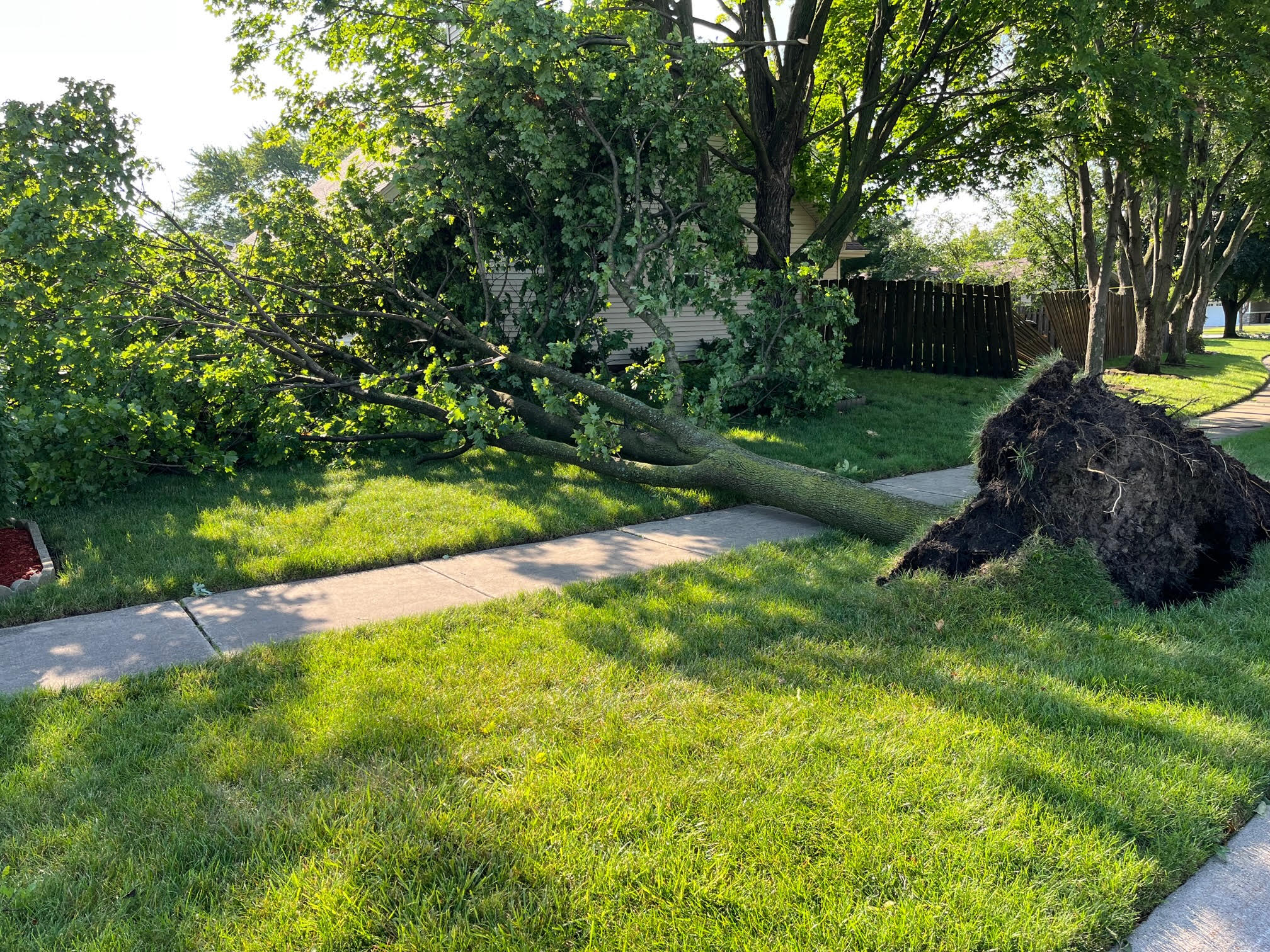 Elk Grove Picks Up From Storm; Leave Branches At Curb Next Monday - Journal & Topics Media Group