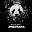 Panda (song)