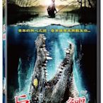 全新影片《巨鱷》DVD 麥可安德森 安德魯李波茨 托馬斯吐戈斯 勞拉艾克曼 丹尼基蘭 傑克麥克馬倫