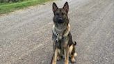 K-9 Bane locates crystal meth in car coming from alleged drug house