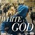 White God