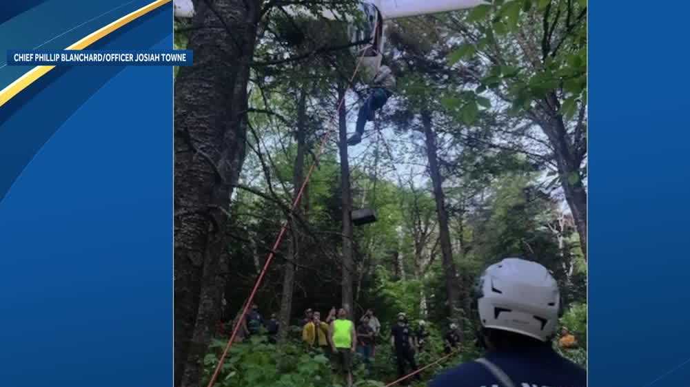 Glider pilot gets stuck in tree after crash in White Mountains, Fish & Game says