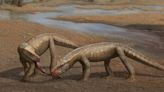 Nova espécie de antigo réptil semelhante a um crocodilo descoberta no Brasil