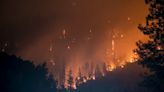 Mapa mostra países que mais enfrentam incêndios florestais