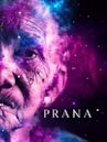 Patterns of Life: Prana