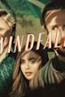 Windfall (2022 film)