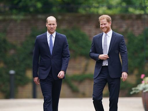 Prince Harry and Prince William Set to Come Face to Face at Family Funeral for Lord Robert Fellowes