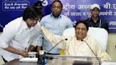 BSP Chief Mayawati Declares Nephew Akash Anand Successor Again