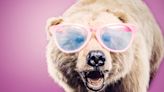 75 Paw-Some Bear Puns and Jokes That Are Wildly Funny
