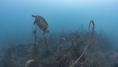 綠色和平：六大風景區漁船、觀光船活動頻繁 廢棄漁網、垃圾纏海龜珊瑚