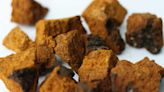 Chaga Mushroom: Help For Diabetes, Cholesterol, and Blood Clots!