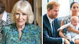 Prince Archie Birth 'Disaster': Newborn Royals' Debut to Now-Queen Camilla Was Just an Image Pulled Up on Photographer's Phone