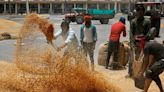 Centre imposes stock limit on wheat to curb hoarding, stabilise prices