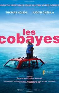 Les cobayes