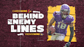 Behind enemy lines: Cardinals-Vikings Q&A preview with Vikings Wire