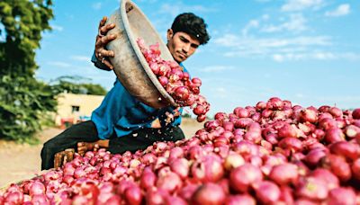 Remember the onion price shock last year? This time, the govt is acting early