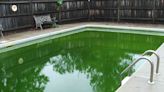 Why Is My Pool Still Green Even Though Chlorine Is High? 3 Reasons