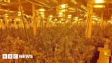 Sudbury industrial estate unit found housing cannabis factory