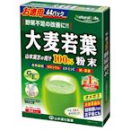 【現貨】日本 山本 大麥若葉100% 1盒(3g*44包) 抹茶風味 青汁 粉末 德用