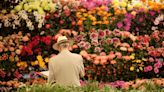 Everything you need to know about the RHS Hampton Court Palace Garden Festival 2023