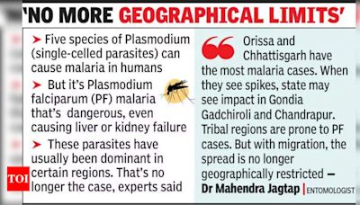 Emerging Malaria Threat: Plasmodium falciparum Cases Surge in Maharashtra | Pune News - Times of India