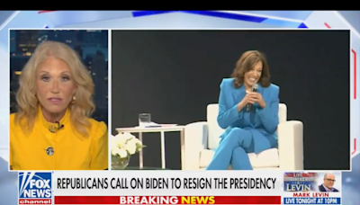 George Conway mocks ex-wife Kellyanne’s TV attack on Kamala