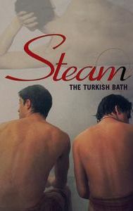 Steam: The Turkish Bath